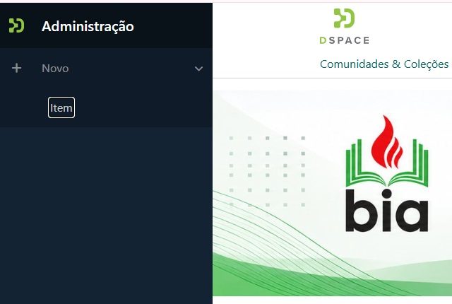 Menu lateral escuro aberto à esquerda da página, com a opção Novo expandida e, abaixo dela, a opção Item.